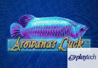 Arowana's Luck
